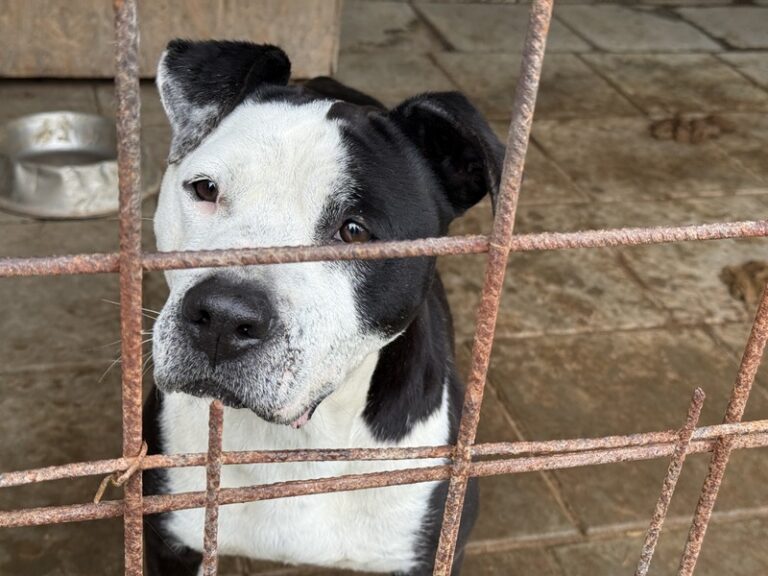 WhatsApp Bild 2025-10-18 um 18.21