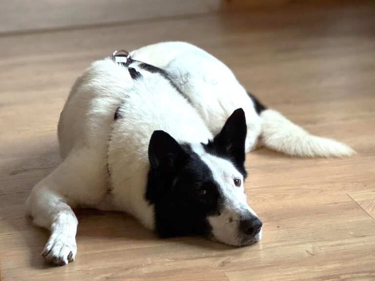 WhatsApp Image 2025-11-12 at 20.44