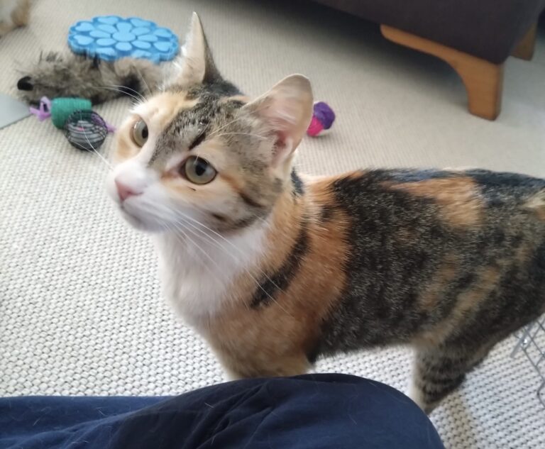 be9c1d47-2dad-4f09-b4b9-0a5484afb1c1