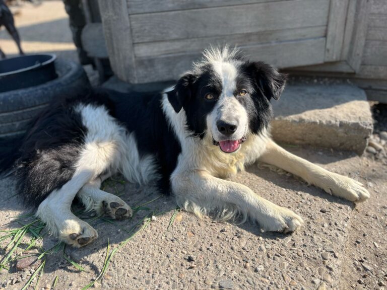 2db9b24e-2655-40c6-b2e1-0ec9256634c8