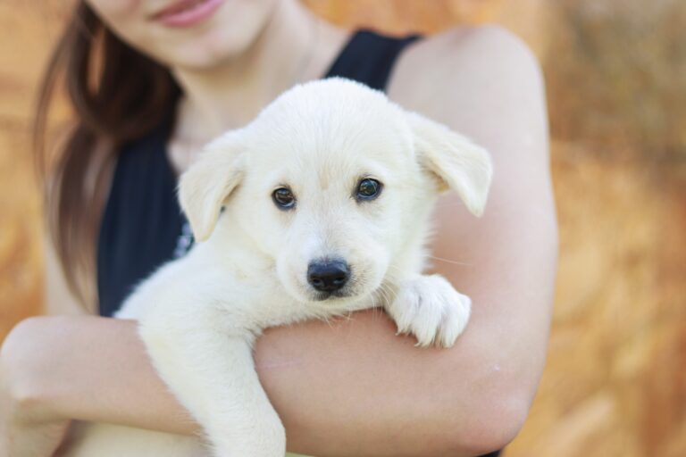 510955183_3024071647770951_481770557820453853_n