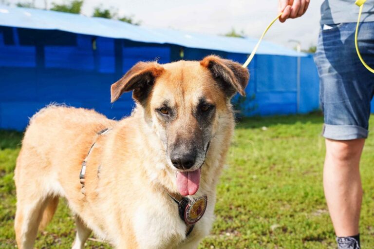 515502491_122136571376812415_2085611400792711235_n