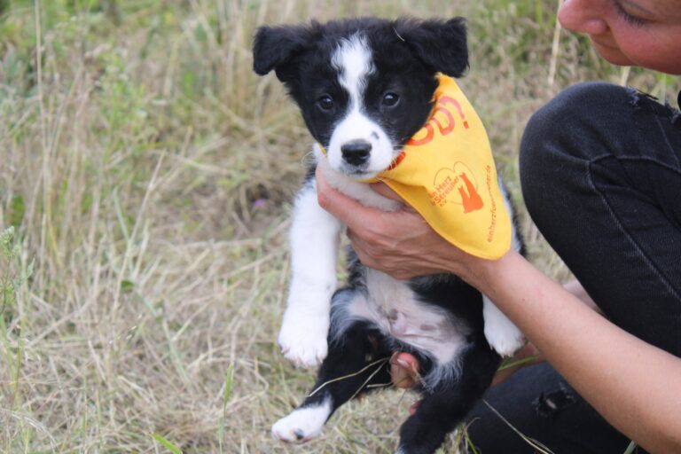 518315225_24014606768231752_787235867356381871_n