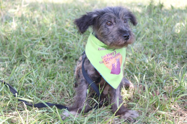 518331860_24014170278275401_176082449466453993_n