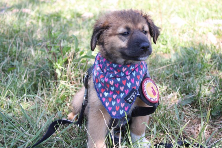 518343642_24014149178277511_4588982600246492841_n