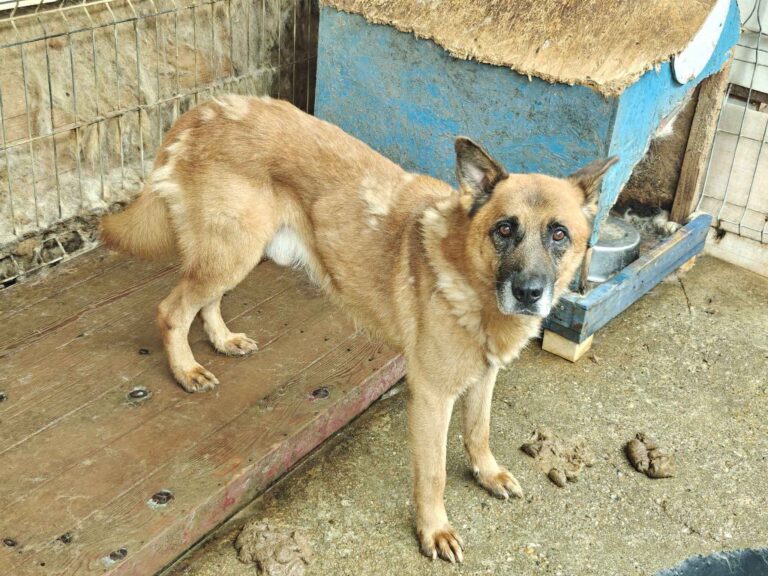 527461777_25157955070472366_4478399841243793124_n