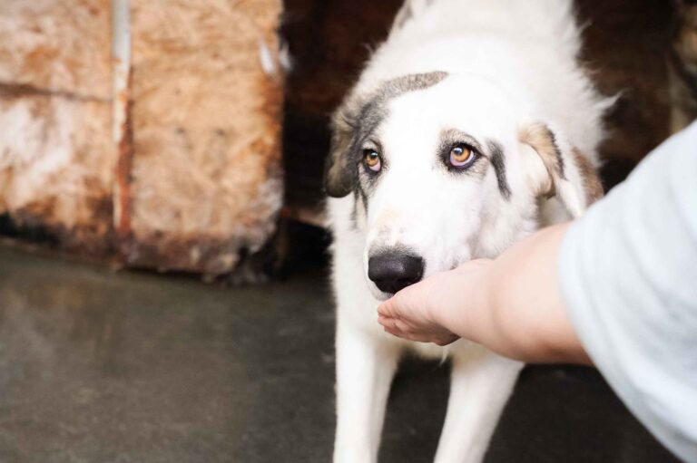 532408554_122136181628812415_5624330282492018504_n