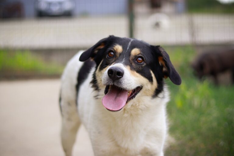 536269248_3081958511982264_8785082891467313482_n