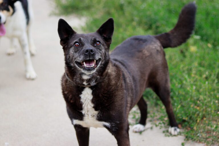 536271941_3081933711984744_7797796714663988523_n