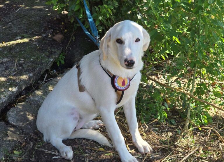 540833273_3235589996603287_8412632254116422701_n