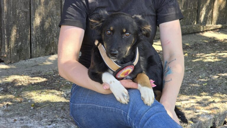 541191775_3235580993270854_8522677834488251383_n