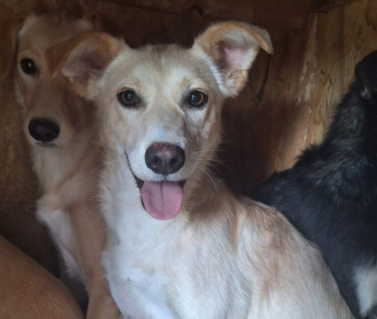 544872764_24460307696994988_5581715921641025027_n