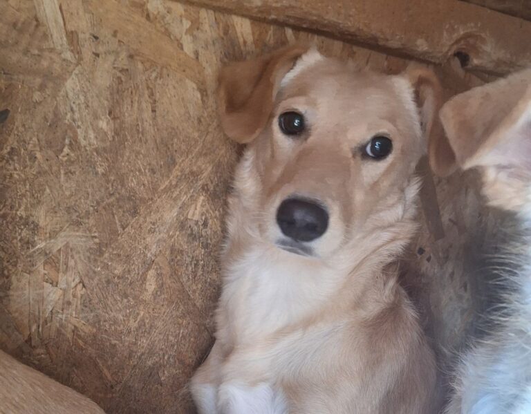 545544967_24460317416994016_7150088416081746700_n