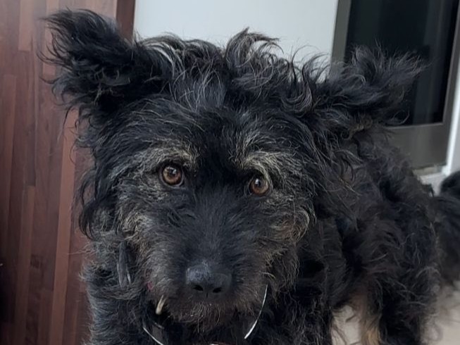 549205506_24458577430467743_7586292240008039568_n