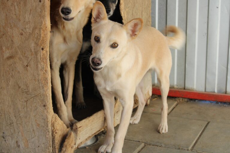 553895297_24577584301933993_4017746716336045208_n