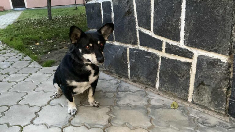 565205273_1927473284857446_6994784357285201802_n