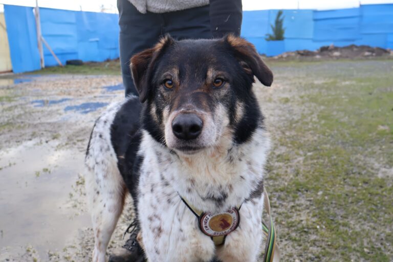 631470227_1244524510970363_2180899070280886243_n