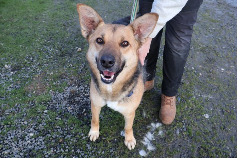 634181849_1244556357633845_595679299590509790_n