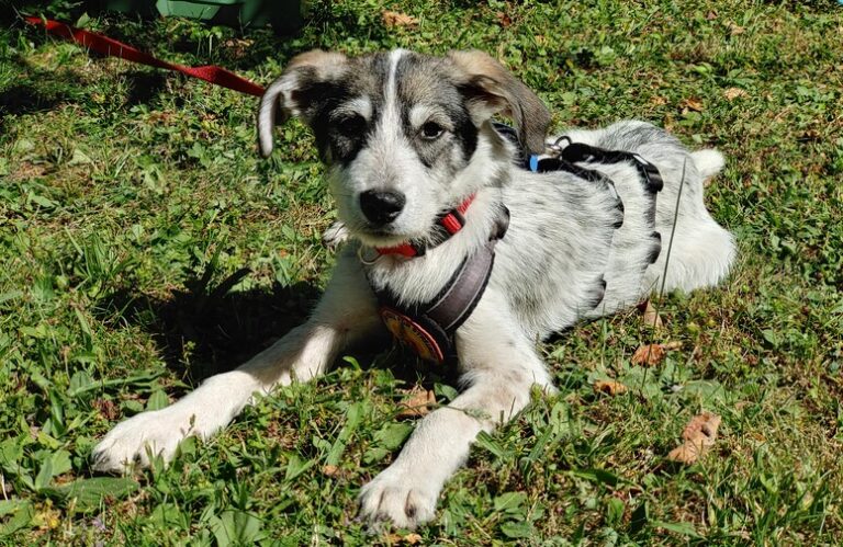 Solution Info HDR : EV(0,7,-3), FC : (0), FC : (0,7,-3)