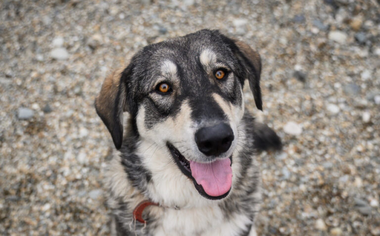 EHFS_DSC_6732_Alisea_900x560