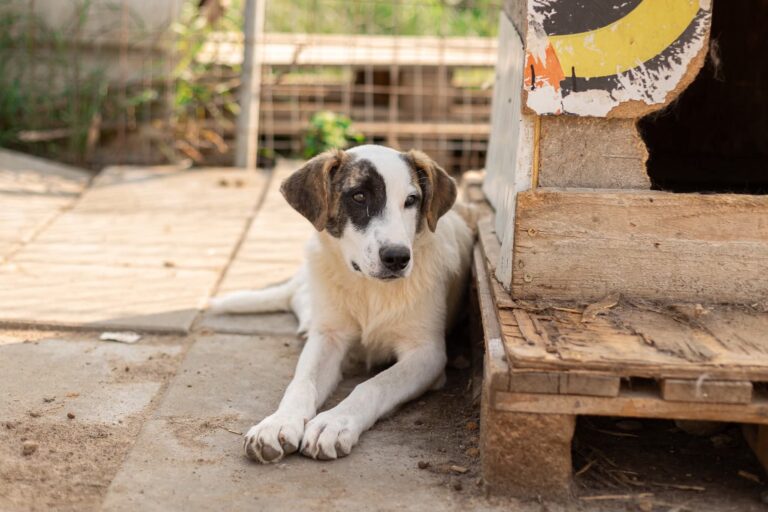 FB_IMG_1762955308419