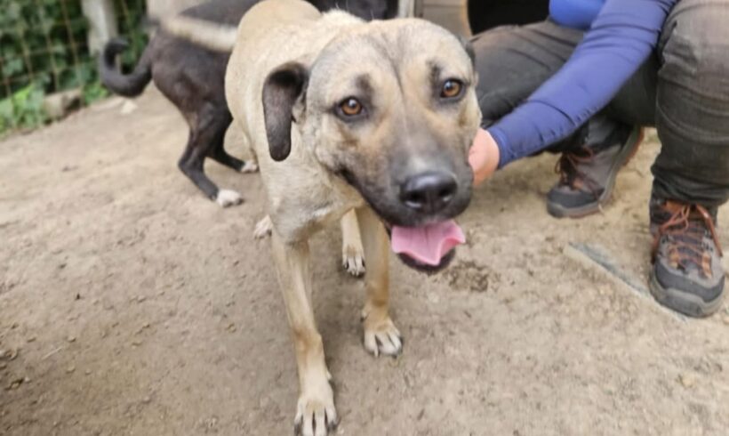 MRS. BEAN – reserviert