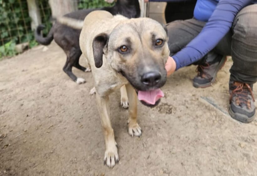 MRS. BEAN – reserviert