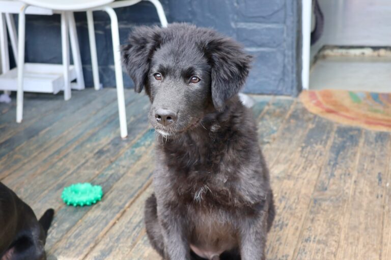 Messenger_creation_4BC7AF17-82EA-454B-88A5-11A6A7E6B9F1