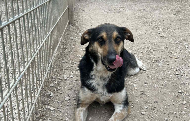 Messenger_creation_78D73426-D699-424E-B5EB-959F422AB0B5