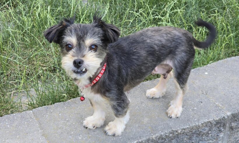 JESTA – reserviert