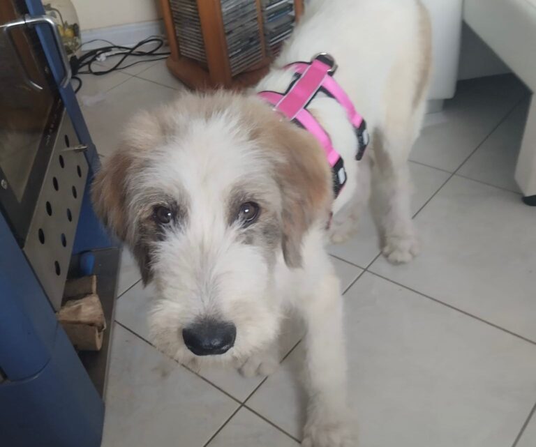 WhatsApp Image 2025-07-13 at 07.49