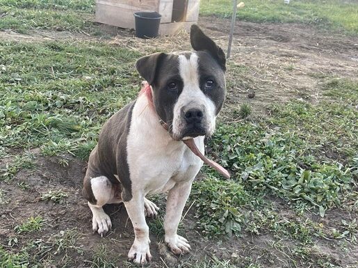 a8f07c8a-d178-4faa-b287-cb24f1d1dbc3