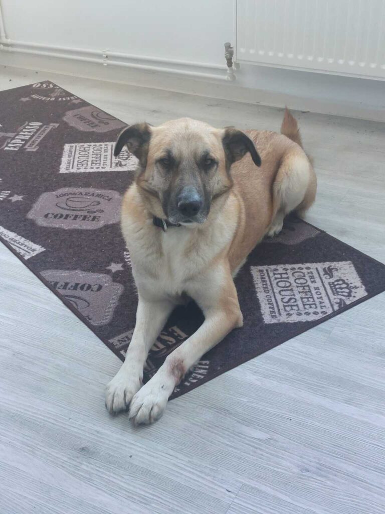 motion_photo_1851089146178972594