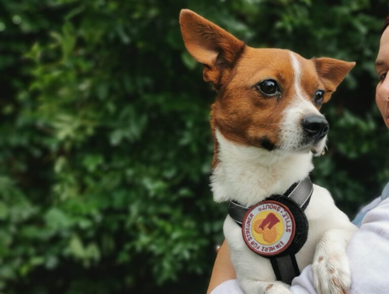 02d5a999-e649-470e-8a8b-0e40c36a6c79