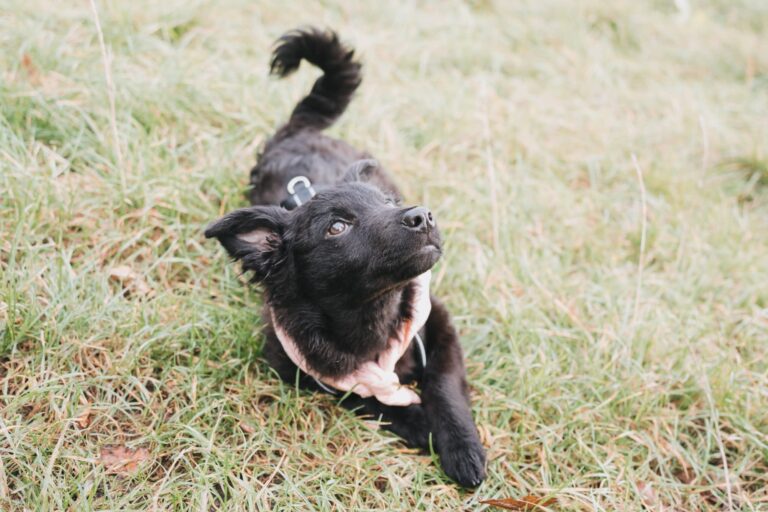 1CE7EEBC-911B-4C5D-A726-9DE913AD3C23