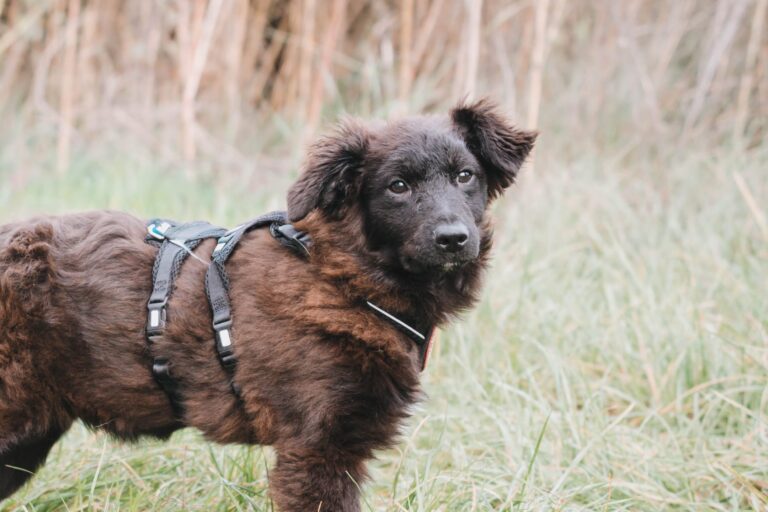 28A3C830-A5CC-4211-B28A-84116BBAE580