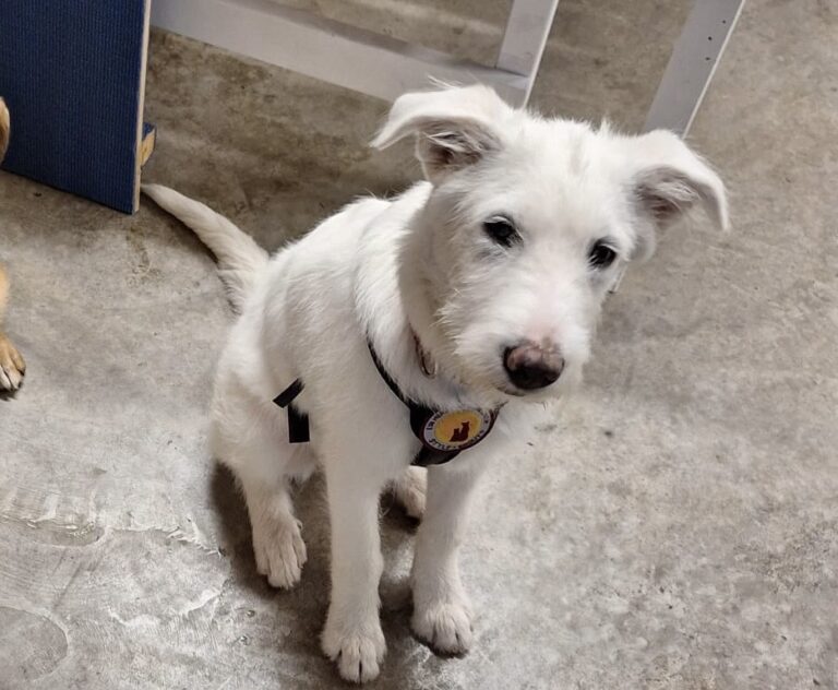 336339ce-b4d2-46cc-b129-43d77d0e3d59