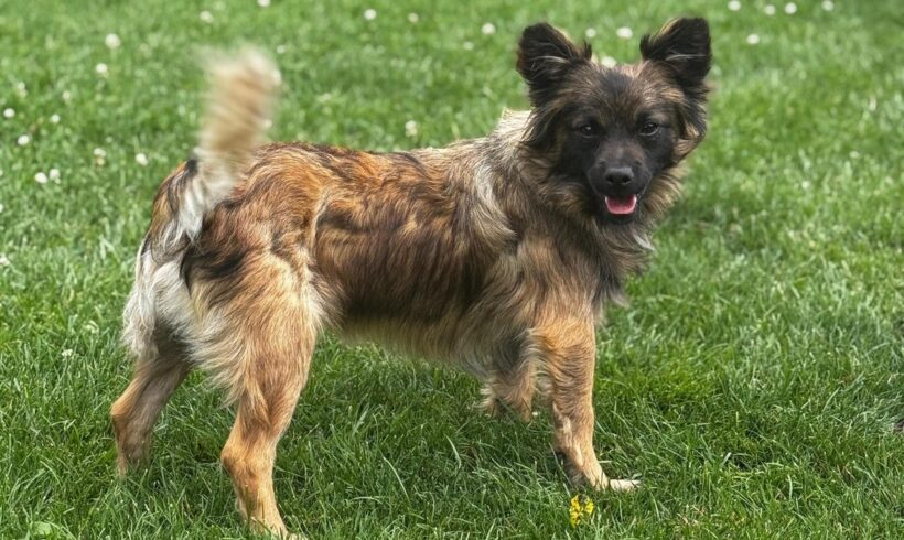 AKONI – reserviert