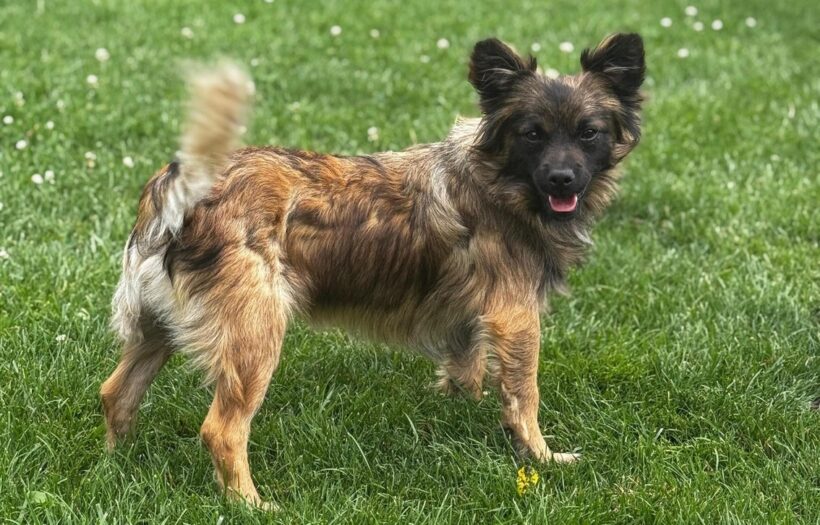 AKONI – reserviert