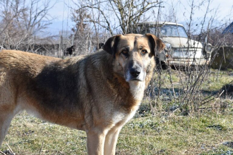 514273065_10087315798014062_5948731417431129664_n