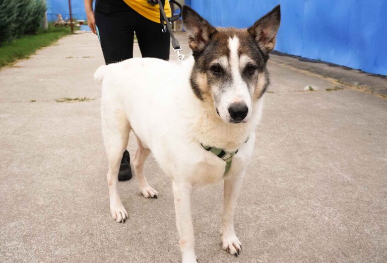 514276003_122136466766812415_6606999223916817298_n