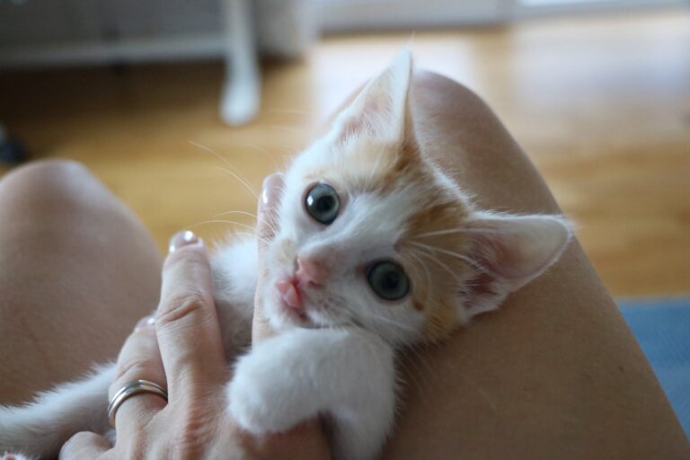 515436439_24607399732191304_2438179561956415972_n