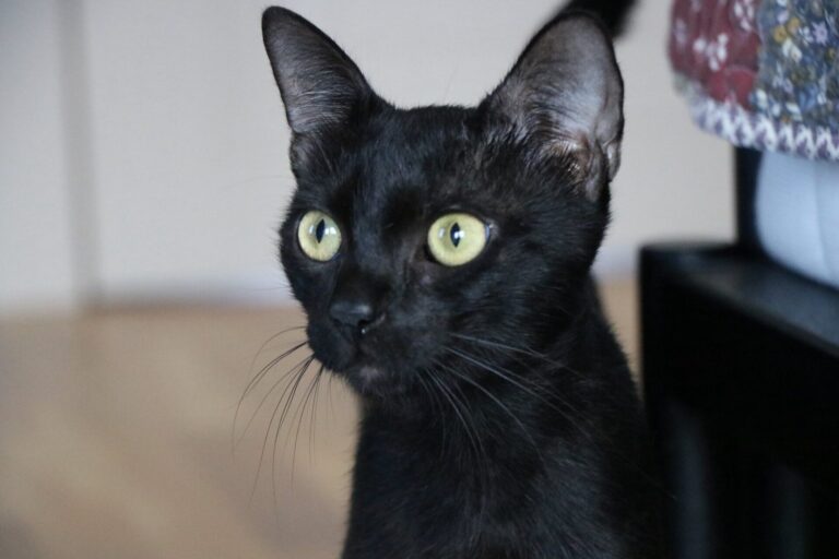 515439104_24607771378820806_5196372052404087919_n