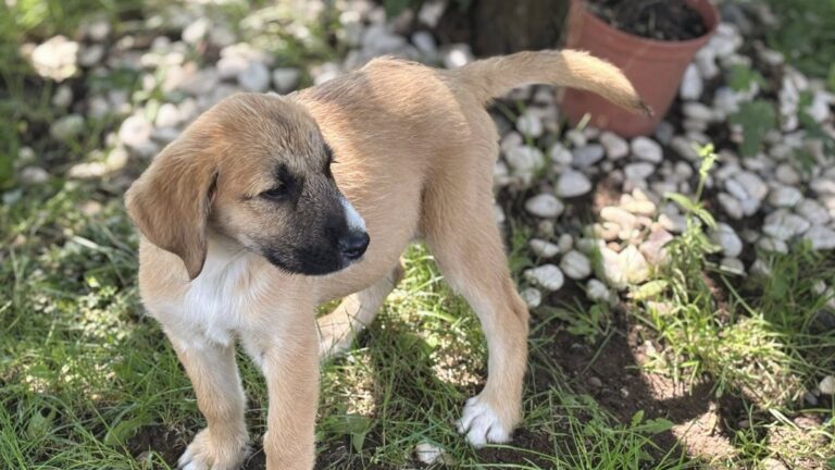 515442229_24611036078494336_1734527427255046088_n