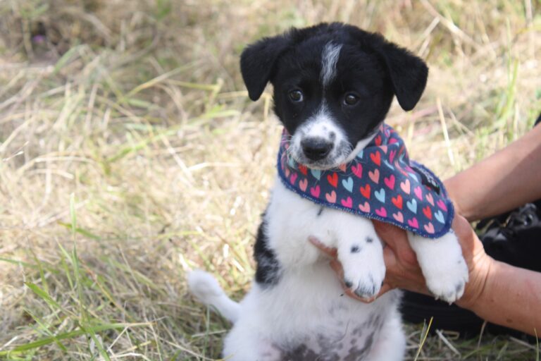 518309428_24014654201560342_2121277671710975453_n