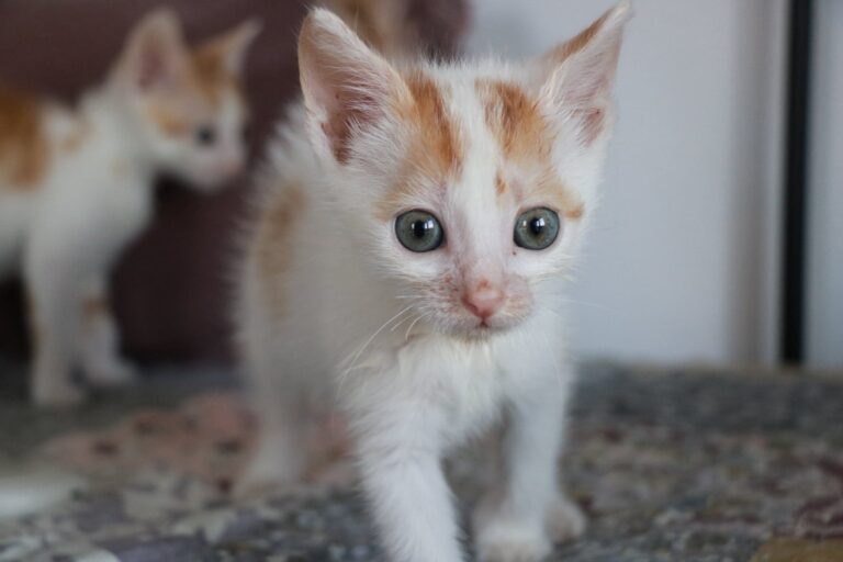 519625169_24607536092177668_8256855322135474233_n