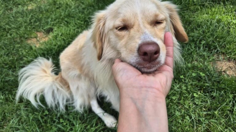 521649268_25060920090175865_4902289532024338449_n