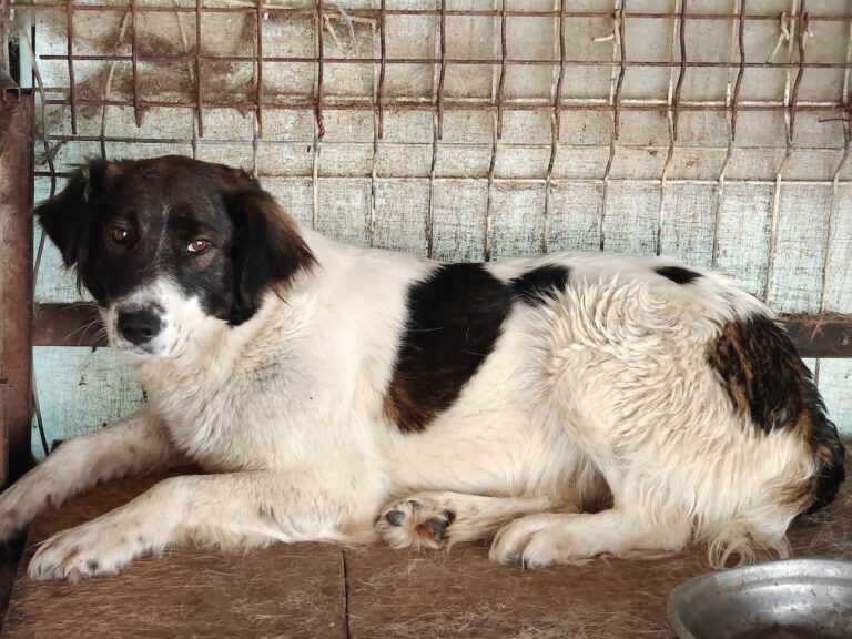 526626075_25138041069130433_5688623896038088306_n