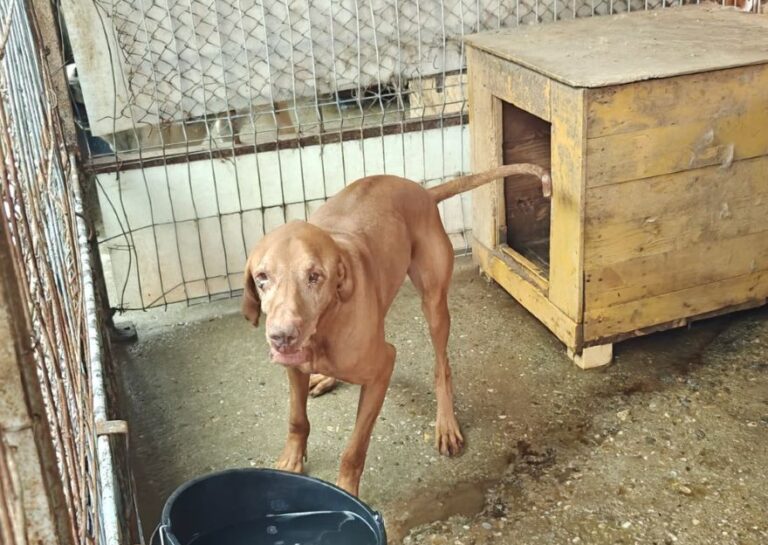 526866068_25138271982440675_7614076083986470596_n