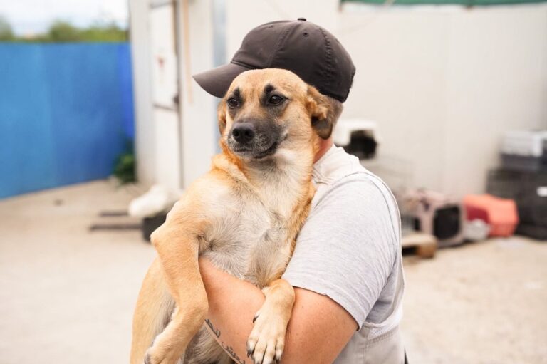 527361581_122134485938812415_6645402223555607063_n